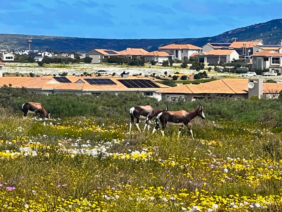 0 Bedroom Property for Sale in Langebaan Country Estate Western Cape